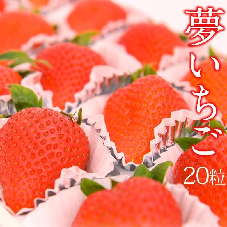 夢いちご 20粒