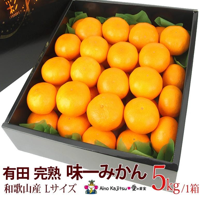 味一みかん Lサイズ 5kg