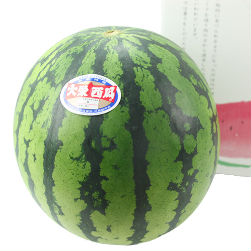大栄西瓜