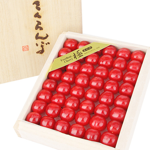 佐藤錦 極