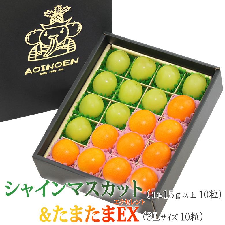 宝石箱 シャインマスカット＆たまたまEX 各10粒 1箱20粒入り