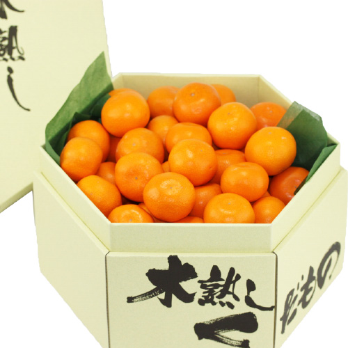夢のこつぶみかん