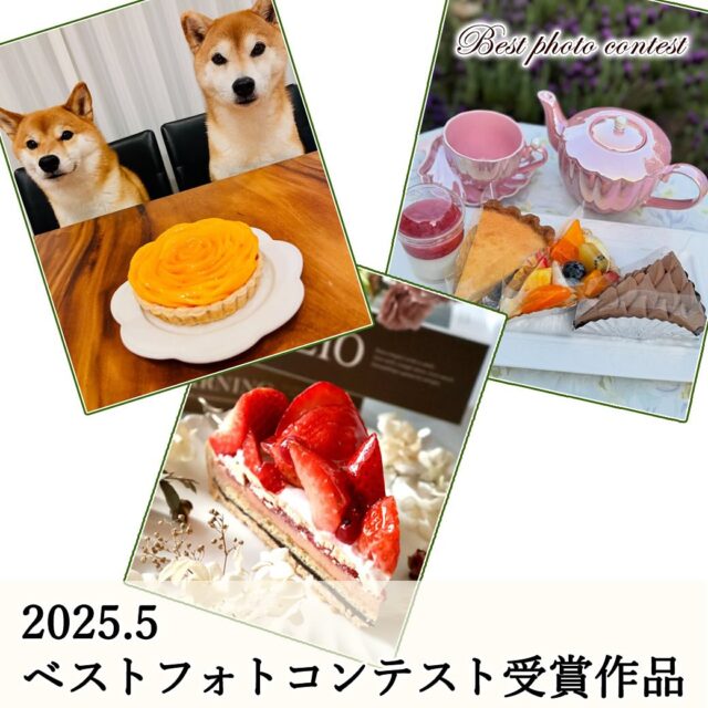 2025年5月
    ベストフォトコンテスト受賞作品📸
    ベストフォトコンテストにご参加してくださった皆様、ありがとうございました✨
    受賞されたお客様には、当店で使える2,000円クーポンを送らせていただきます♪
    「シャインマスカットのタルト」や「桃のタルト」など
    続々と販売開始していますので、夏タルトをぜひお楽しみくださいませ☀️
    6月も皆様のご参加お待ちしております☺️
    ※フォトコンテストの参加方法は、プロフィールに固定してある「ベストフォトコンテスト」の投稿をご確認ください。
    _ _ _ _ _ _ _ _ _ _ _ _ _
    住所:〒594-0081
    　  大阪府和泉市葛の葉町3丁目3-11（アオイ農園内）
    営業時間:10:00〜21:00
    電話番号:0725-58-6128
    その他ホームページやSNSは、Instagramトップのリンクからご覧くださいませ♪
    _ _ _ _ _ _ _ _ _ _ _ _ _
    #lumiereduciel #リュミエールドシエル #タルト #タルト専門店 #ベストフォトコンテスト #フォトコンテスト #フォトコン #プレゼント #プレゼント企画 #クーポン #受賞 #和泉市ケーキ #大阪ケーキ #アオイ農園 #フルーツタルト #季節のフルーツ #フルーツタルト専門店 #フルーツ #果物 #果物屋 #旬のフルーツ #季節のタルト #お持ち帰りスイーツ #ケーキ屋さん #カフェ巡り #インスタ企画 #プレゼント企画実施中 #ケーキ #インスタキャンペーン #スイーツ